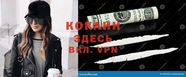 МДПВ Новозыбков