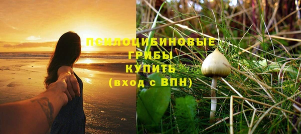 амф Балахна