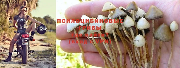 крисы Долгопрудный